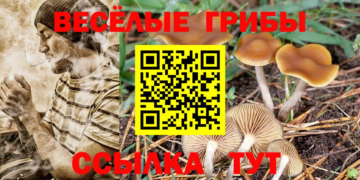 Галлюциногенные грибы мухоморы Саранск