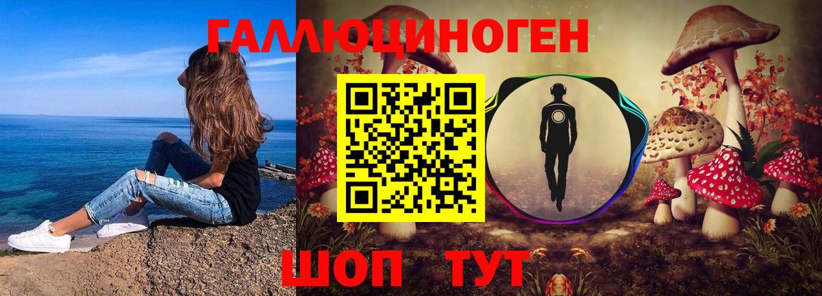 Саранск  Галлюциногенные грибы прущие грибы  Галлюциногенные грибы прущие грибы  Вход с VPN 